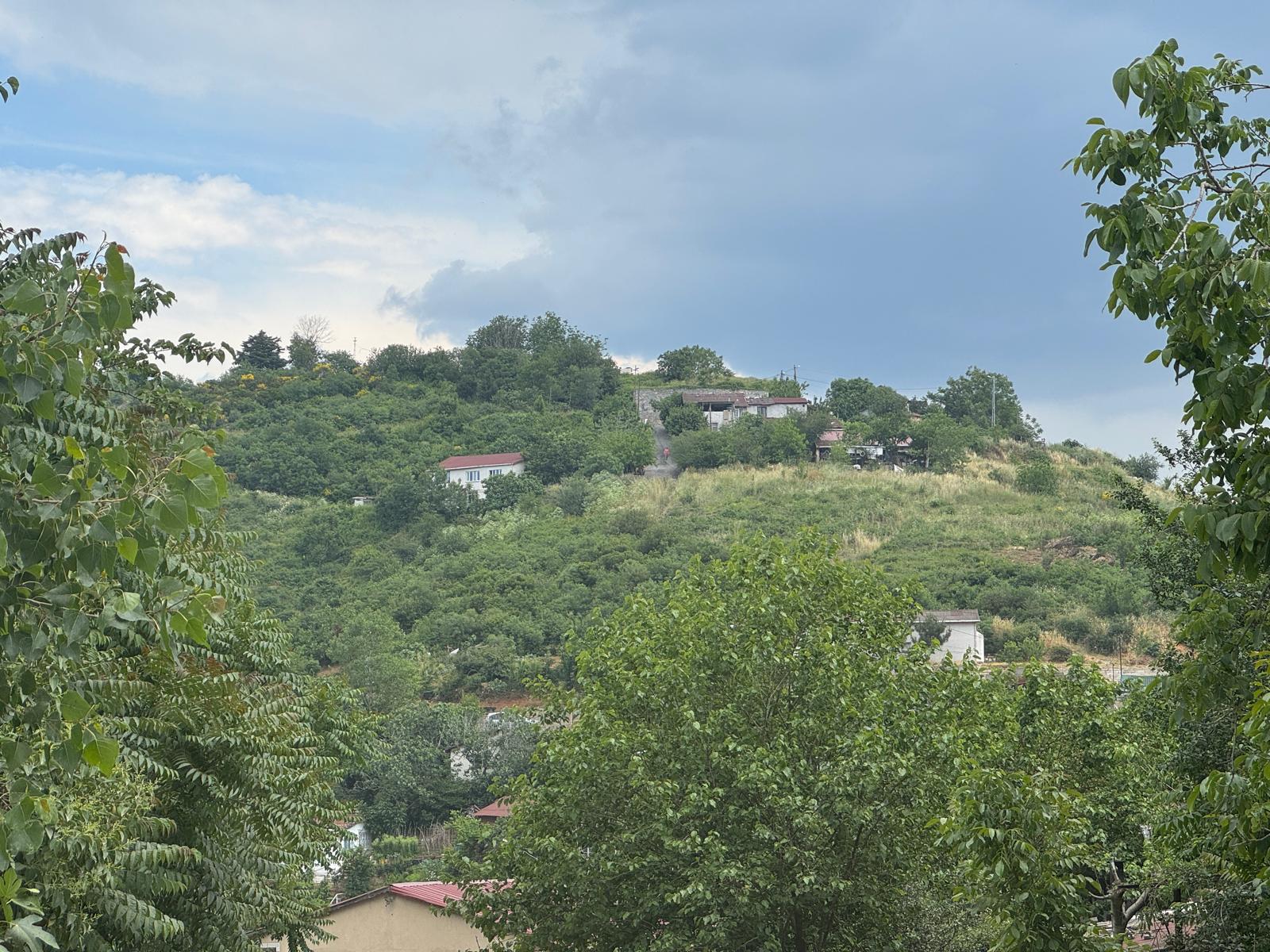 YEŞİL MANZARA